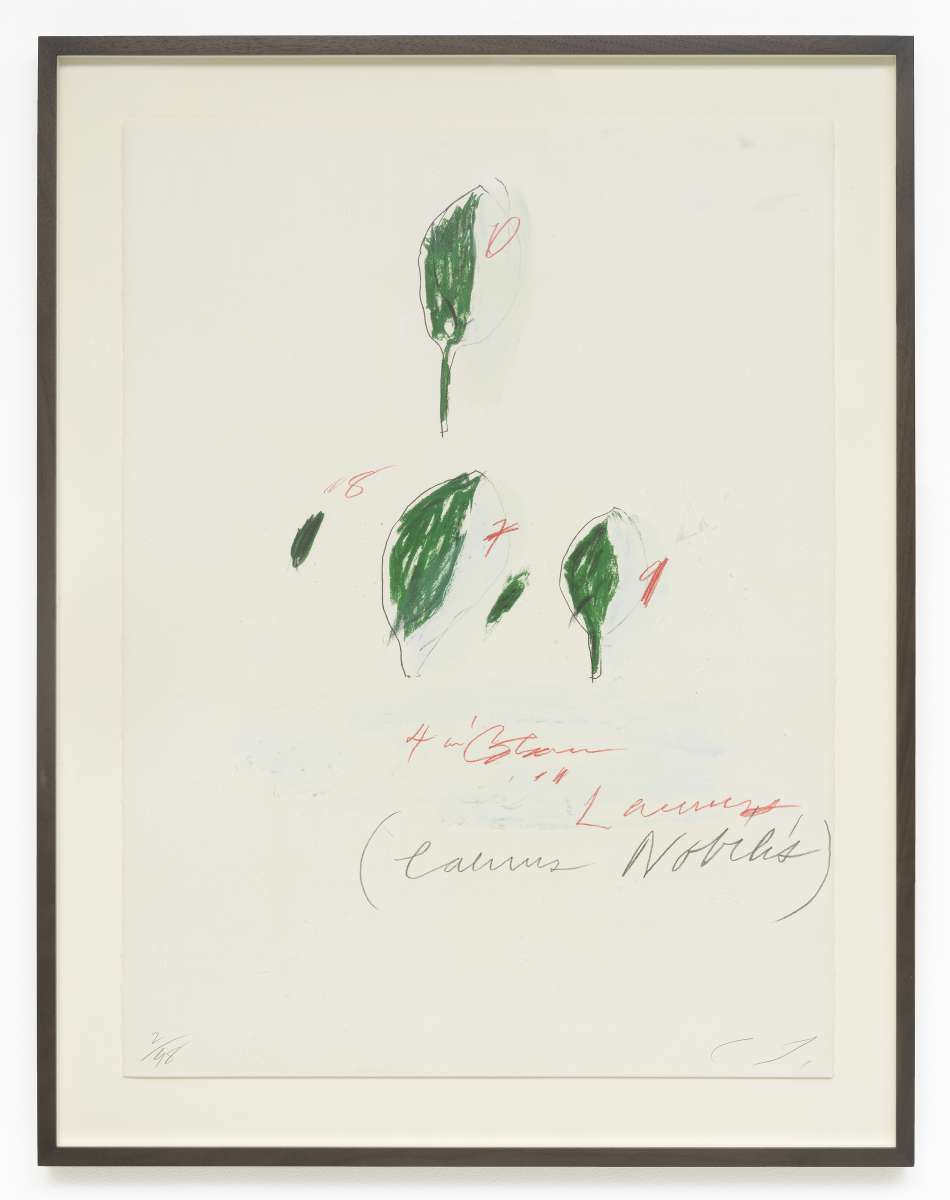 Cy Twombly, Natural History Part II: Some Trees of Italy (Laurus Nobilis), 1976