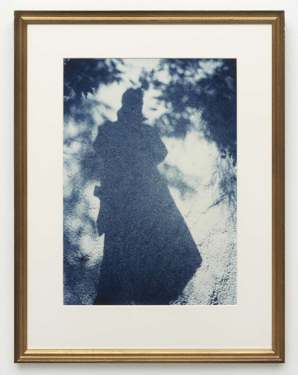 Daan van Golden, Agua Azul (in de Hortus Botanicus), 1987/1992