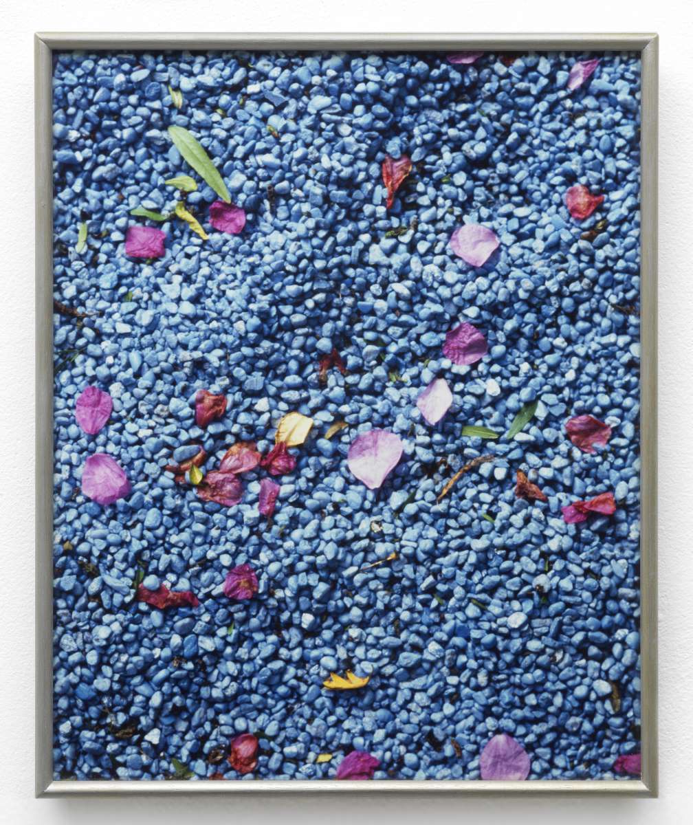 Daan van Golden, Agua Azul (in de Hortus Botanicus), 1987/2000