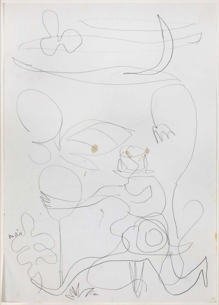 Constant Gardener, 2011